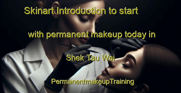 Skinart Introduction to start with permanent makeup today in Shek Tau Wai | PermanentmakeupTraining | PermanentmakeupClasses | SkinartTraining-Hong Kong