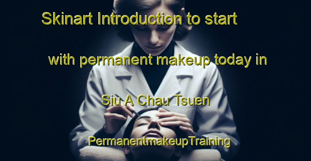 Skinart Introduction to start with permanent makeup today in Siu A Chau Tsuen | PermanentmakeupTraining | PermanentmakeupClasses | SkinartTraining-Hong Kong