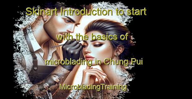 Skinart Introduction to start with the basics of microblading in Chung Pui | MicrobladingTraining | MicrobladingClasses | SkinartTraining-Hong Kong