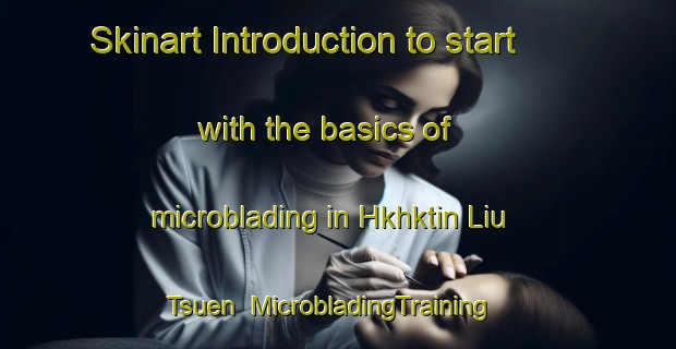 Skinart Introduction to start with the basics of microblading in Hkhktin Liu Tsuen | MicrobladingTraining | MicrobladingClasses | SkinartTraining-Hong Kong