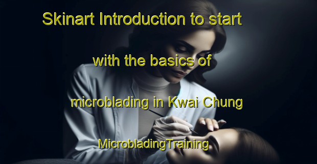 Skinart Introduction to start with the basics of microblading in Kwai Chung | MicrobladingTraining | MicrobladingClasses | SkinartTraining-Hong Kong