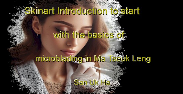 Skinart Introduction to start with the basics of microblading in Ma Tseuk Leng San Uk Ha | MicrobladingTraining | MicrobladingClasses | SkinartTraining-Hong Kong