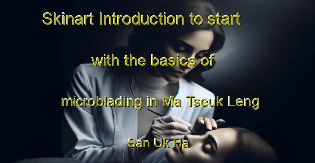 Skinart Introduction to start with the basics of microblading in Ma Tseuk Leng San Uk Ha | MicrobladingTraining | MicrobladingClasses | SkinartTraining-Hong Kong