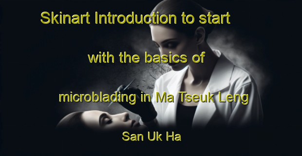 Skinart Introduction to start with the basics of microblading in Ma Tseuk Leng San Uk Ha | MicrobladingTraining | MicrobladingClasses | SkinartTraining-Hong Kong