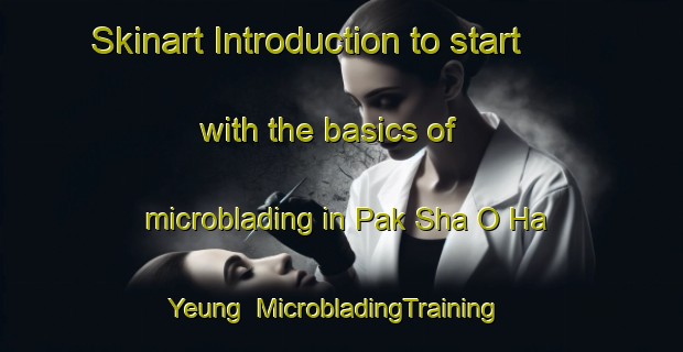 Skinart Introduction to start with the basics of microblading in Pak Sha O Ha Yeung | MicrobladingTraining | MicrobladingClasses | SkinartTraining-Hong Kong