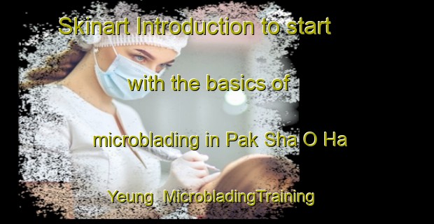 Skinart Introduction to start with the basics of microblading in Pak Sha O Ha Yeung | MicrobladingTraining | MicrobladingClasses | SkinartTraining-Hong Kong