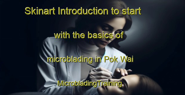 Skinart Introduction to start with the basics of microblading in Pok Wai | MicrobladingTraining | MicrobladingClasses | SkinartTraining-Hong Kong