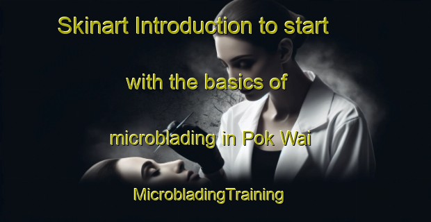 Skinart Introduction to start with the basics of microblading in Pok Wai | MicrobladingTraining | MicrobladingClasses | SkinartTraining-Hong Kong