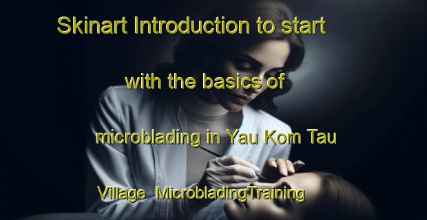 Skinart Introduction to start with the basics of microblading in Yau Kom Tau Village | MicrobladingTraining | MicrobladingClasses | SkinartTraining-Hong Kong