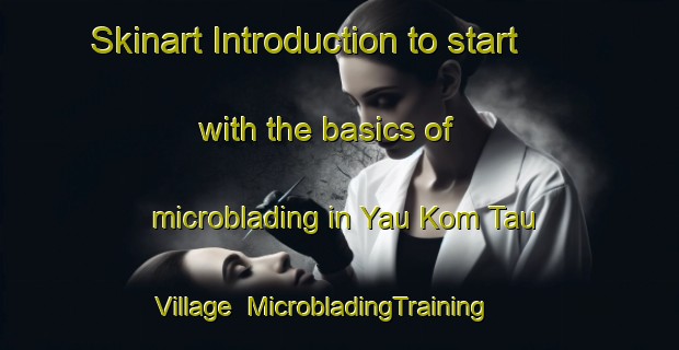Skinart Introduction to start with the basics of microblading in Yau Kom Tau Village | MicrobladingTraining | MicrobladingClasses | SkinartTraining-Hong Kong