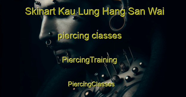Skinart Kau Lung Hang San Wai piercing classes | PiercingTraining | PiercingClasses | SkinartTraining-Hong Kong