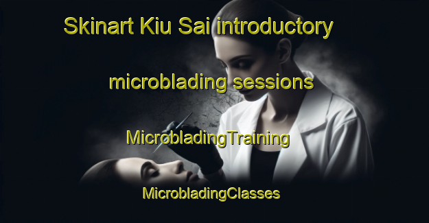 Skinart Kiu Sai introductory microblading sessions | MicrobladingTraining | MicrobladingClasses | SkinartTraining-Hong Kong
