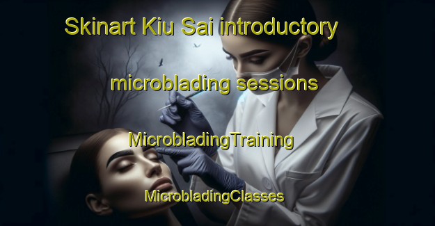Skinart Kiu Sai introductory microblading sessions | MicrobladingTraining | MicrobladingClasses | SkinartTraining-Hong Kong