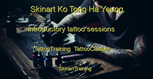 Skinart Ko Tong Ha Yeung introductory tattoo sessions | TattooTraining | TattooClasses | SkinartTraining-Hong Kong
