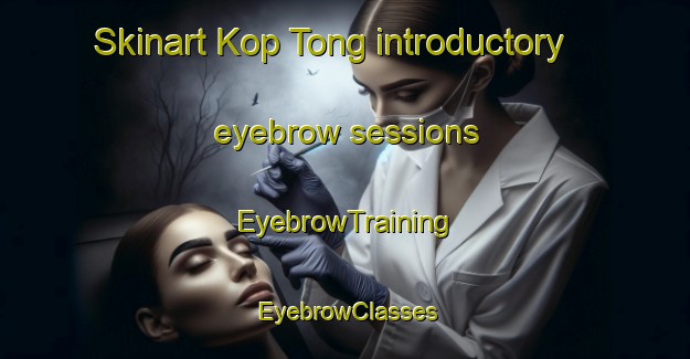 Skinart Kop Tong introductory eyebrow sessions | EyebrowTraining | EyebrowClasses | SkinartTraining-Hong Kong