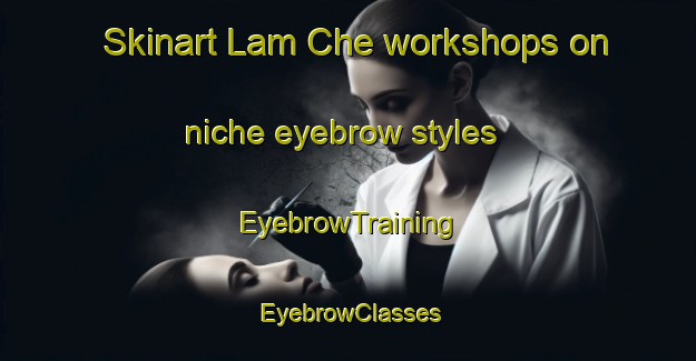 Skinart Lam Che workshops on niche eyebrow styles | EyebrowTraining | EyebrowClasses | SkinartTraining-Hong Kong