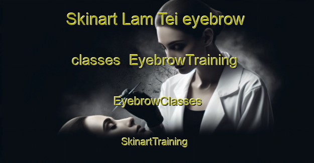 Skinart Lam Tei eyebrow classes | EyebrowTraining | EyebrowClasses | SkinartTraining-Hong Kong