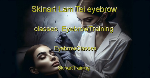 Skinart Lam Tei eyebrow classes | EyebrowTraining | EyebrowClasses | SkinartTraining-Hong Kong