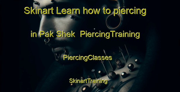 Skinart Learn how to piercing in Pak Shek | PiercingTraining | PiercingClasses | SkinartTraining-Hong Kong