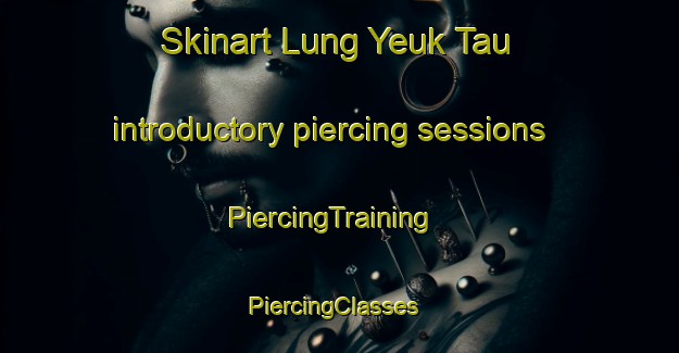 Skinart Lung Yeuk Tau introductory piercing sessions | PiercingTraining | PiercingClasses | SkinartTraining-Hong Kong