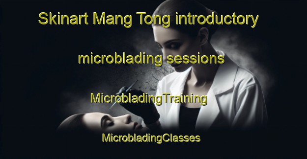 Skinart Mang Tong introductory microblading sessions | MicrobladingTraining | MicrobladingClasses | SkinartTraining-Hong Kong