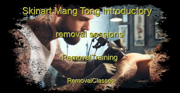 Skinart Mang Tong introductory removal sessions | RemovalTraining | RemovalClasses | SkinartTraining-Hong Kong