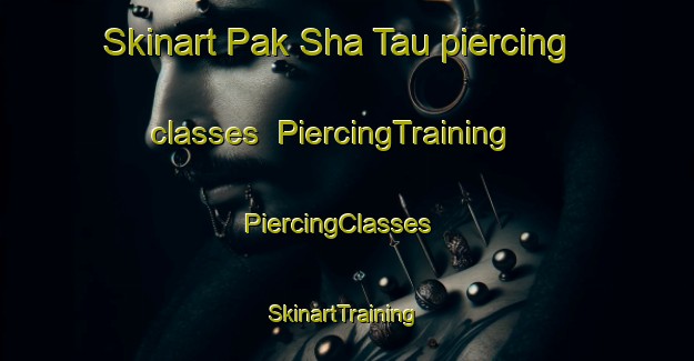 Skinart Pak Sha Tau piercing classes | PiercingTraining | PiercingClasses | SkinartTraining-Hong Kong