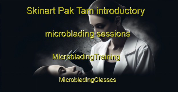 Skinart Pak Tam introductory microblading sessions | MicrobladingTraining | MicrobladingClasses | SkinartTraining-Hong Kong