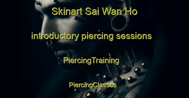 Skinart Sai Wan Ho introductory piercing sessions | PiercingTraining | PiercingClasses | SkinartTraining-Hong Kong