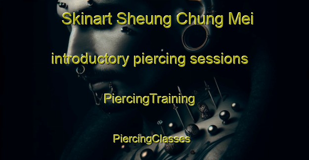 Skinart Sheung Chung Mei introductory piercing sessions | PiercingTraining | PiercingClasses | SkinartTraining-Hong Kong