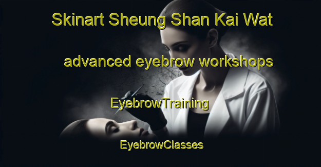 Skinart Sheung Shan Kai Wat advanced eyebrow workshops | EyebrowTraining | EyebrowClasses | SkinartTraining-Hong Kong