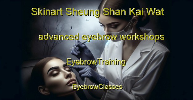 Skinart Sheung Shan Kai Wat advanced eyebrow workshops | EyebrowTraining | EyebrowClasses | SkinartTraining-Hong Kong