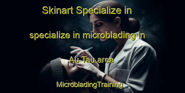 Skinart Specialize in specialize in microblading in Au Tau area | MicrobladingTraining | MicrobladingClasses | SkinartTraining-Hong Kong