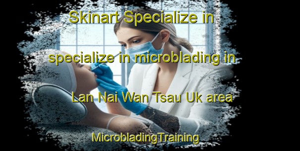 Skinart Specialize in specialize in microblading in Lan Nai Wan Tsau Uk area | MicrobladingTraining | MicrobladingClasses | SkinartTraining-Hong Kong