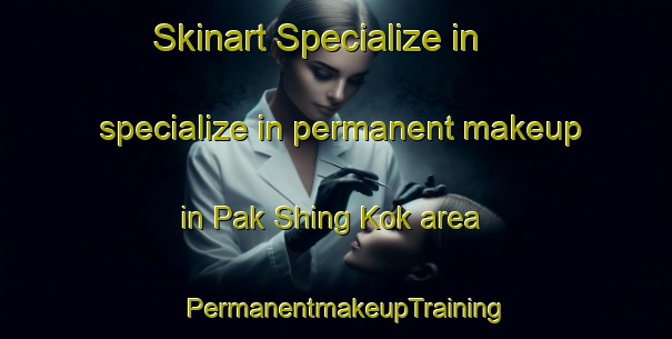 Skinart Specialize in specialize in permanent makeup in Pak Shing Kok area | PermanentmakeupTraining | PermanentmakeupClasses | SkinartTraining-Hong Kong