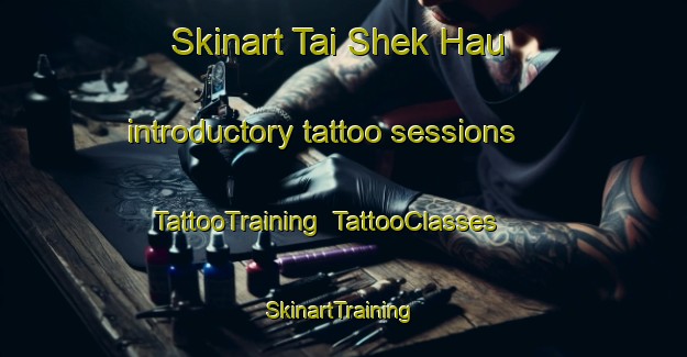Skinart Tai Shek Hau introductory tattoo sessions | TattooTraining | TattooClasses | SkinartTraining-Hong Kong