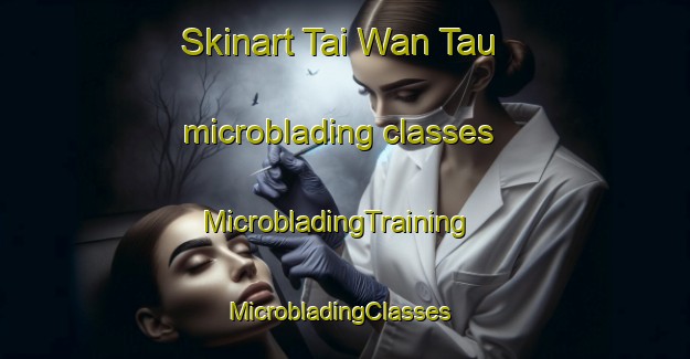 Skinart Tai Wan Tau microblading classes | MicrobladingTraining | MicrobladingClasses | SkinartTraining-Hong Kong