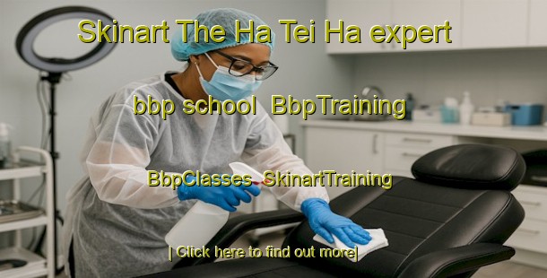Skinart The Ha Tei Ha expert bbp school | BbpTraining | BbpClasses | SkinartTraining-Hong Kong