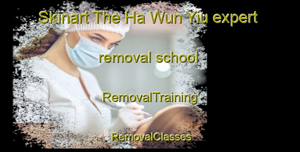 Skinart The Ha Wun Yiu expert removal school | RemovalTraining | RemovalClasses | SkinartTraining-Hong Kong