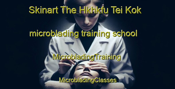 Skinart The Hkhkfu Tei Kok microblading training school | #MicrobladingTraining #MicrobladingClasses #SkinartTraining-Hong Kong