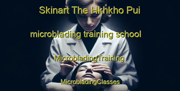 Skinart The Hkhkho Pui microblading training school | #MicrobladingTraining #MicrobladingClasses #SkinartTraining-Hong Kong