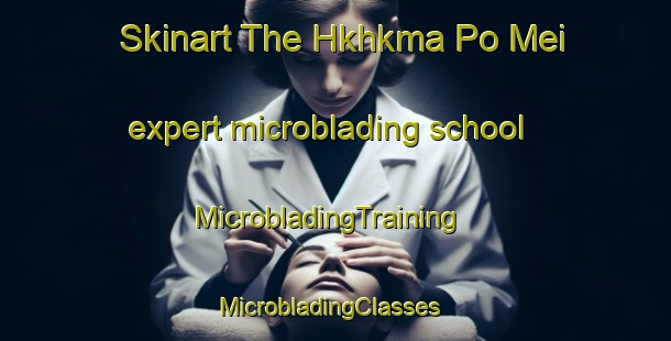 Skinart The Hkhkma Po Mei expert microblading school | MicrobladingTraining | MicrobladingClasses | SkinartTraining-Hong Kong