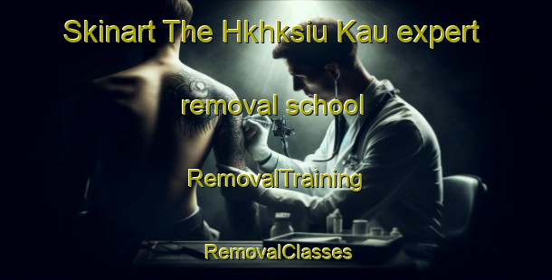 Skinart The Hkhksiu Kau expert removal school | RemovalTraining | RemovalClasses | SkinartTraining-Hong Kong