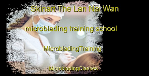 Skinart The Lan Nai Wan microblading training school | MicrobladingTraining | MicrobladingClasses | SkinartTraining-Hong Kong