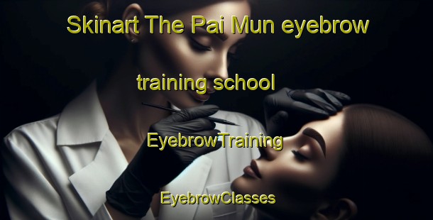 Skinart The Pai Mun eyebrow training school | EyebrowTraining | EyebrowClasses | SkinartTraining-Hong Kong