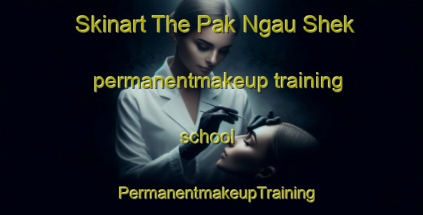 Skinart The Pak Ngau Shek permanentmakeup training school | PermanentmakeupTraining | PermanentmakeupClasses | SkinartTraining-Hong Kong