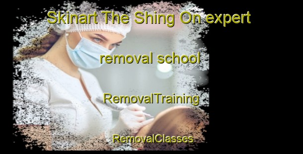 Skinart The Shing On expert removal school | RemovalTraining | RemovalClasses | SkinartTraining-Hong Kong
