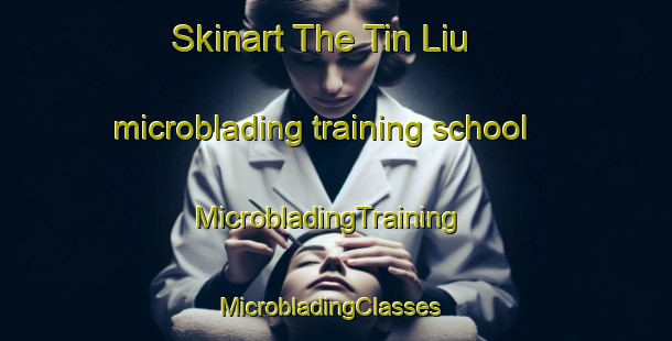 Skinart The Tin Liu microblading training school | MicrobladingTraining | MicrobladingClasses | SkinartTraining-Hong Kong