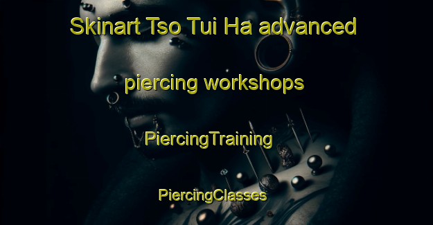 Skinart Tso Tui Ha advanced piercing workshops | PiercingTraining | PiercingClasses | SkinartTraining-Hong Kong