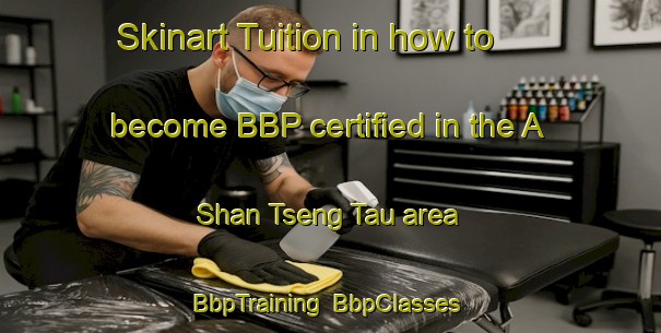 Skinart Tuition in how to become BBP certified in the A Shan Tseng Tau area | BbpTraining | BbpClasses | SkinartTraining-Hong Kong